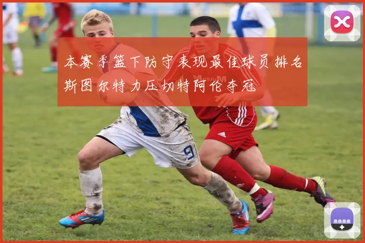本赛季篮下防守表现最佳球员排名斯图尔特力压切特阿伦夺冠